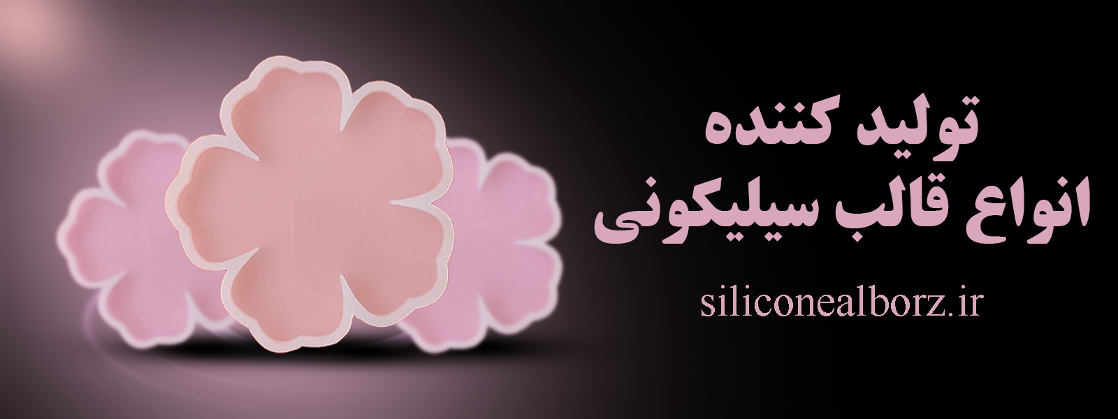 قالب سیلیکونی رزین